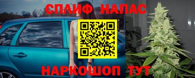 амф Кимры