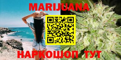 гидра Кинель