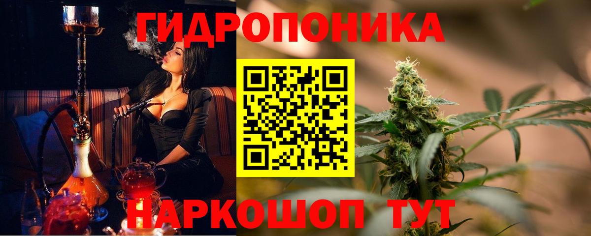 МАРИХУАНА сатива Ярославль